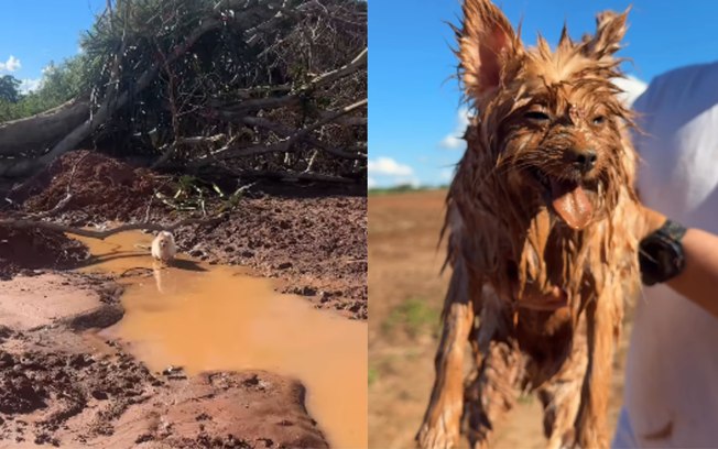 68irntnl4wx9n84i8pqc9zvwz