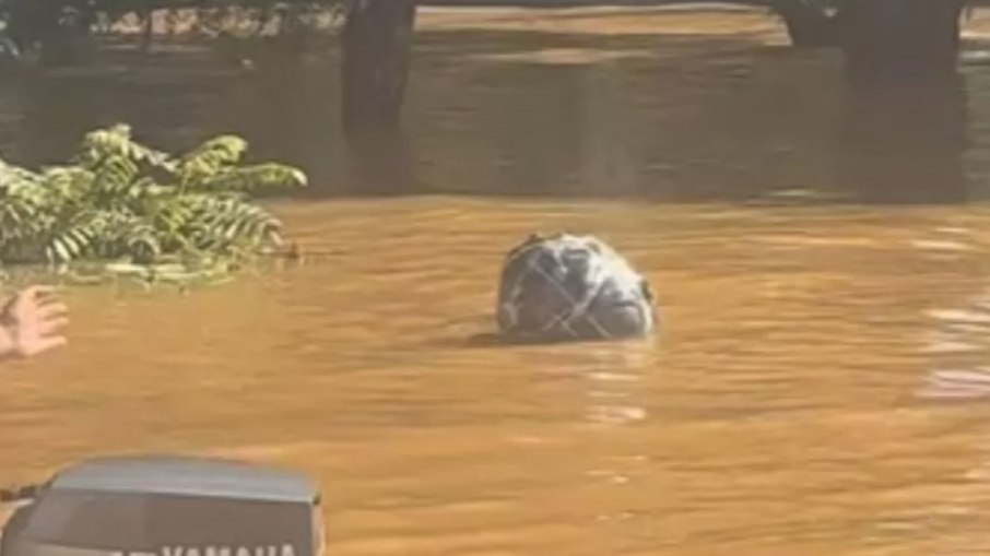 Reconstrução do Rio Grande do Sul custará R$ 176 bilhões