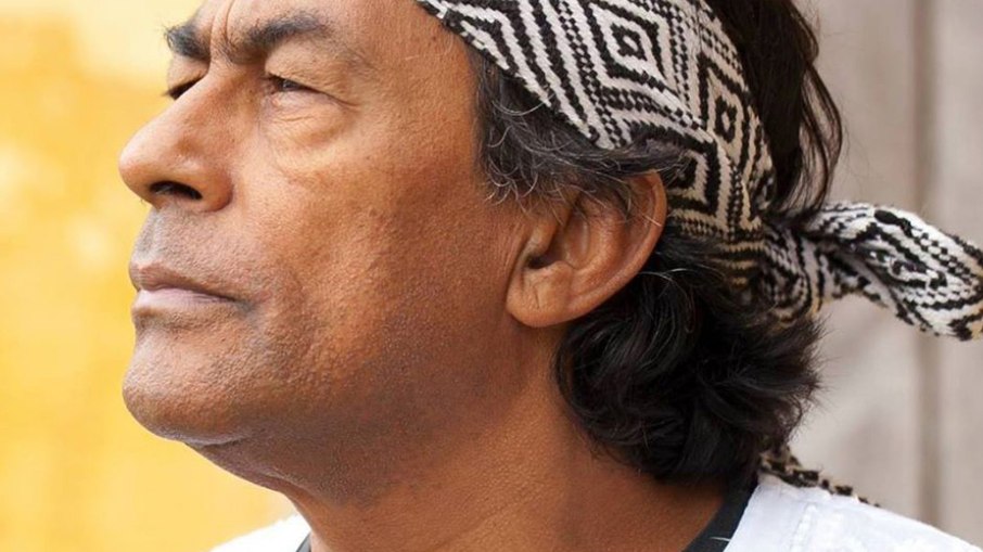 Ailton Krenak, Lider Indigena, Filosofo e Escritor Ailton Krenak, Lider Indigena, Filosofo e Escritor