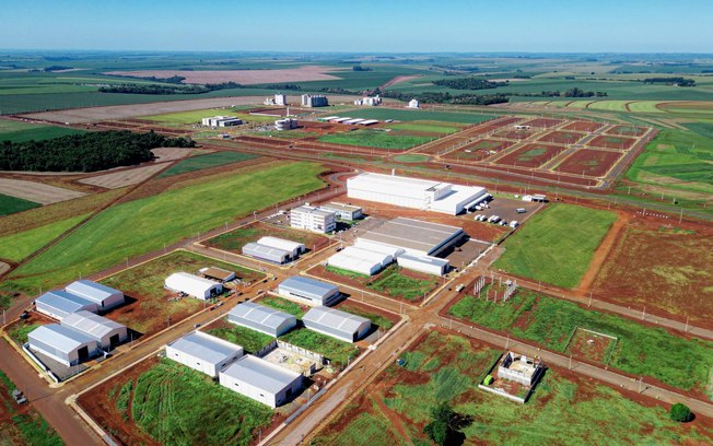 Biopark aposta em 100 mil bolsas para impulsionar economia no interior do PR Biopark aposta em 100 mil bolsas para impulsionar economia no interior do PR