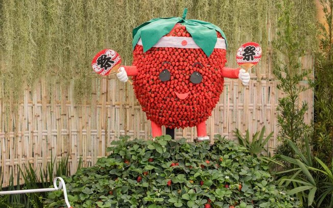 Festa de Flores e Morangos de Atibaia apresenta novidades
