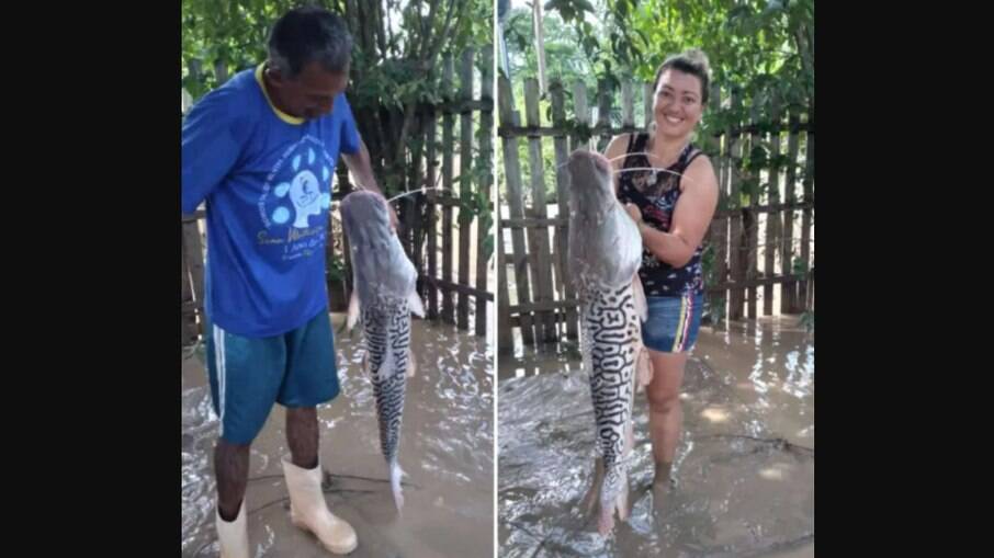 Mulher encontra peixe no quintal de casa após cheias no Acre