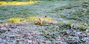 Campos do Jordão registra menor temperatura de São Paulo no ano