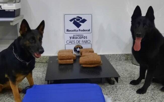 Receita Federal em Viracopos apreende 9,8 quilos de maconha