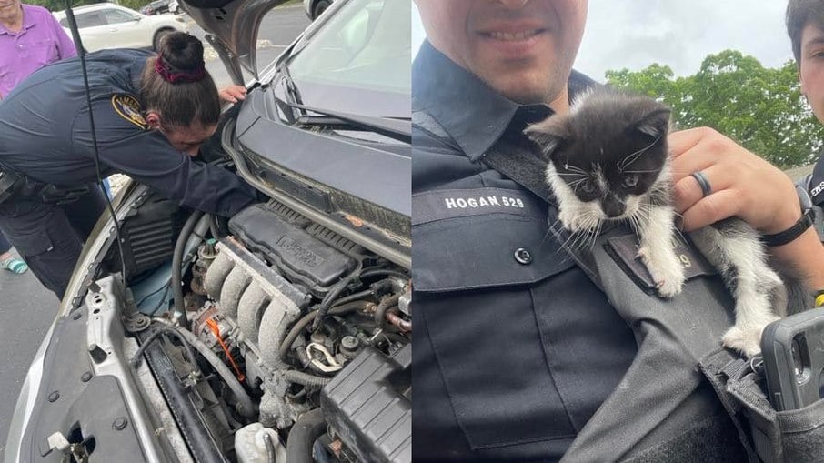 Polícia resgata filhote de gato encontrado em motor de carro