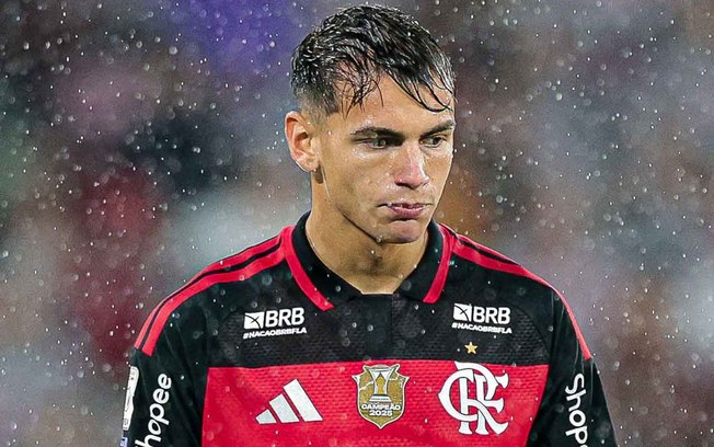 Flamengo tem novo patrocinador que pode gerar R$ 100 milhões