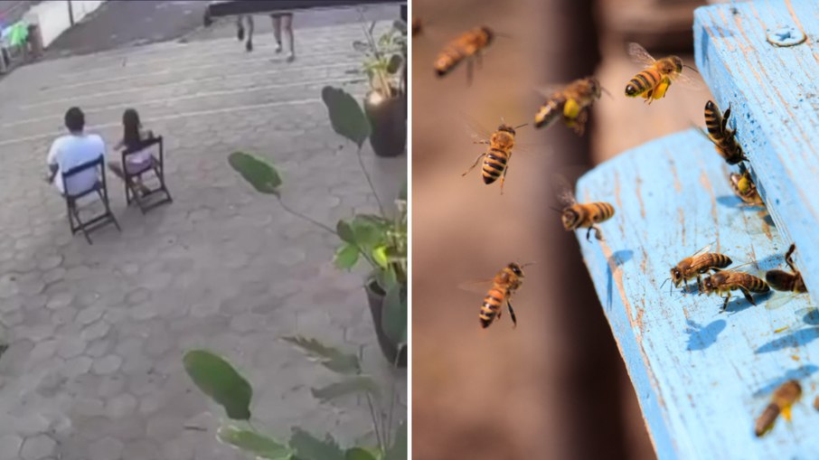 Abelhas atacam público durante desfile de aniversário em Ilha Solteira