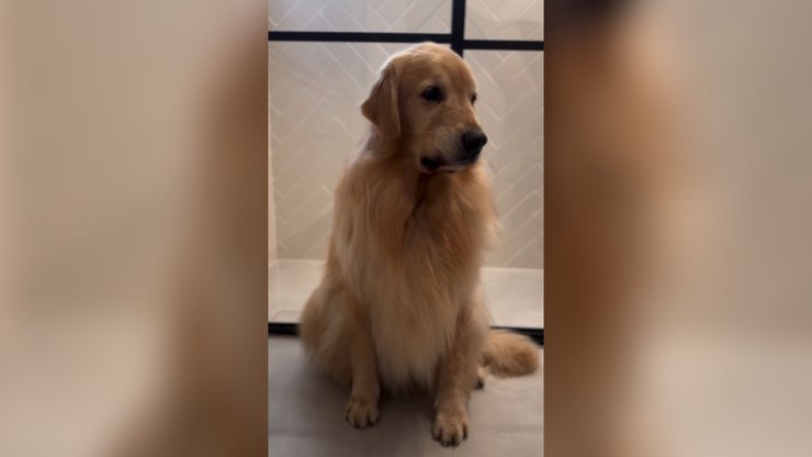 Golden não aprova cheiro do perfume durante gravação de "publi"