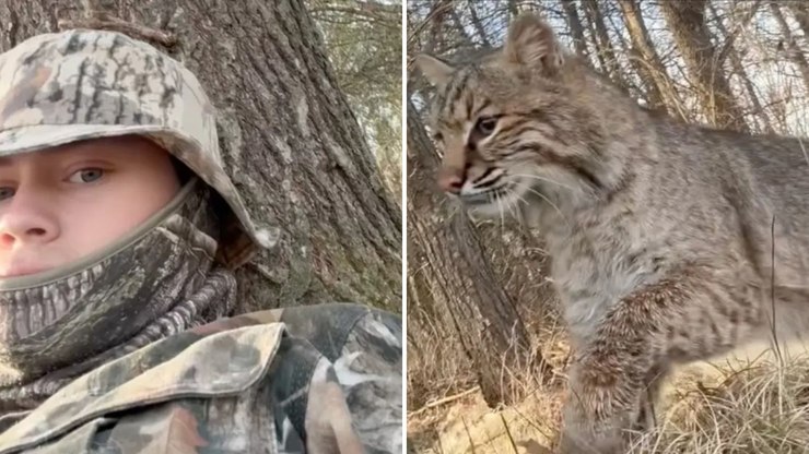 Homem é atacado por felino selvagem durante caça; assista