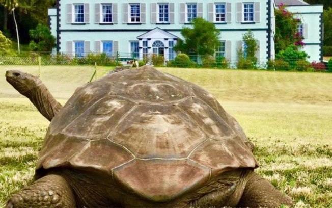 6czzf0bphzgjtfcigh75mypru