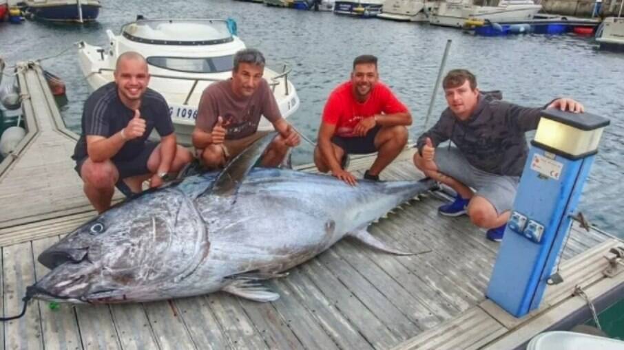 Pescadores fisgaram atum gigante