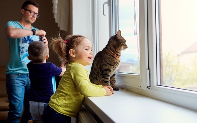 5 raças de gato perfeitas para famílias com crianças