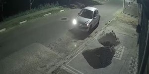 VÍDEO: filhote de gato é jogado de carro e morre em Campinas