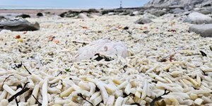 Praia é tomada por batatas fritas e cebolas