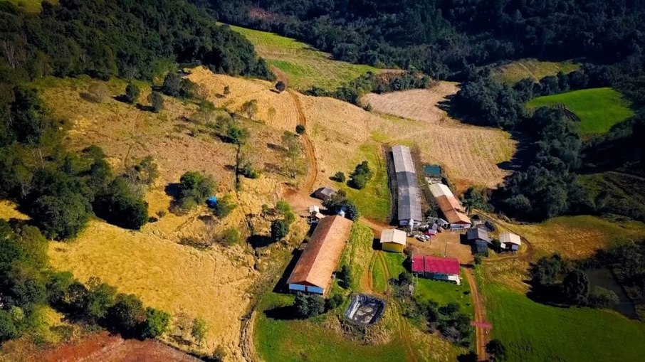 Fazenda Fazenda