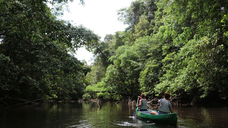 Parque Amazônico da Guiana