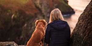 As principais mudanças de um cachorro idoso e os cuidados necessários