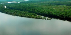 Amazônia registra queda superior a 30% no desmatamento