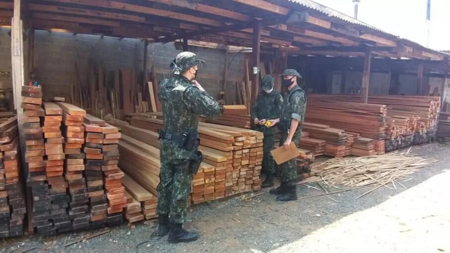 Mais de 53 metros cúbicos de madeiras foram apreendidas pela Policia Ambiental.