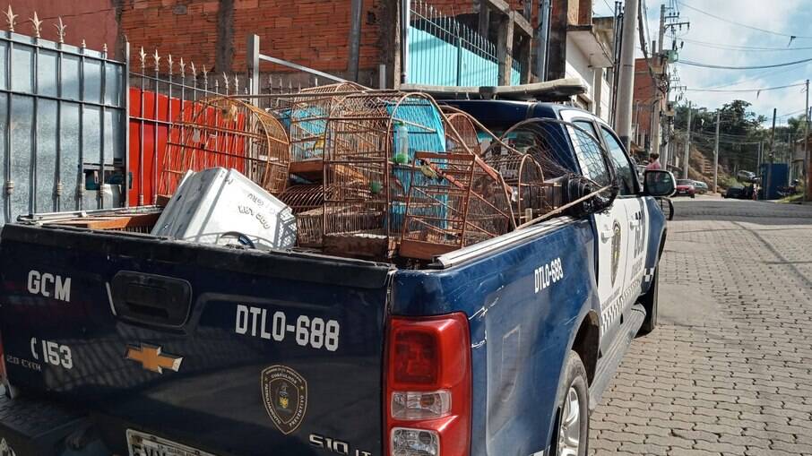 Os dois suspeitos responderão por crime ambiental.