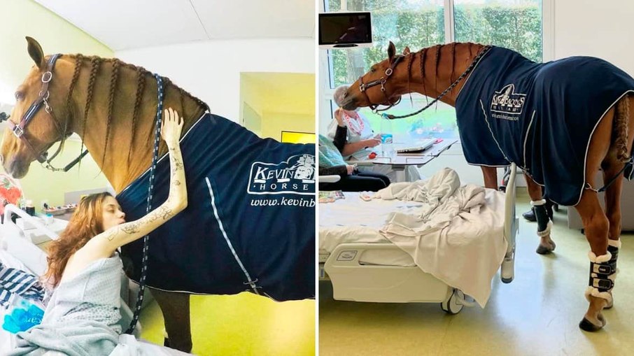 Cavalo terapeuta conforta doentes em estado grave Cavalo terapeuta conforta doentes em estado grave