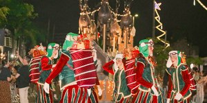 Festa de Natal em Blumenau (SC): um show de luzes para o público