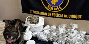 Operação em Paraisópolis: cão localiza mais de 12 kg de drogas