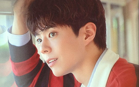 Park Bo Gum, astro de K-drama, anuncia encontro de fãs no Brasil