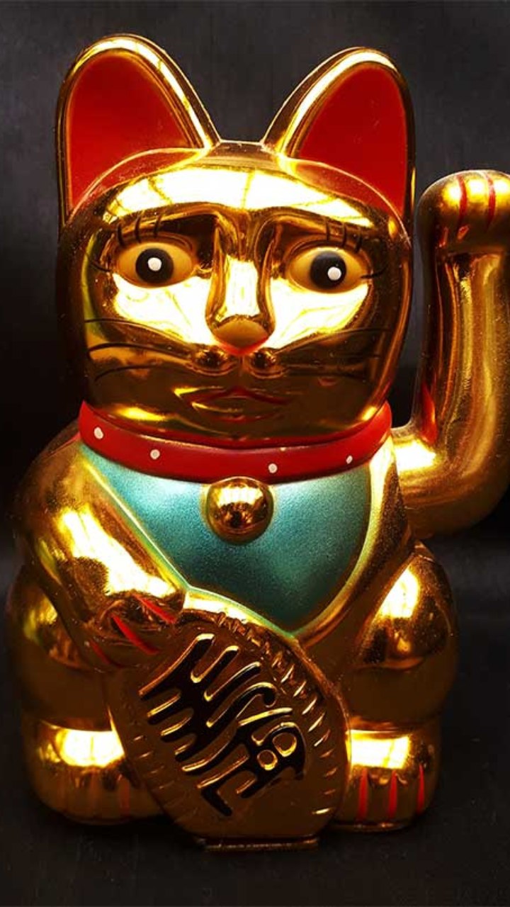 Maneki Neko: Conheça o gato da sorte