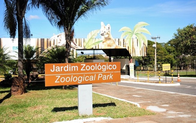 Zoológico de Brasília: um refúgio de biodiversidade e conhecimento no coração do Cerrado