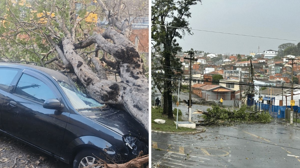Carro foi atingido por árvore na Vila Lemos e queda também foi registrada no Jardim Guarani