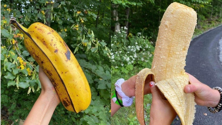 Banana gigante