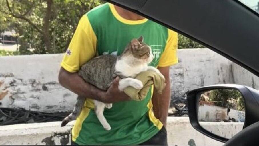 Um homem pedia dinheiro em troca de carinhos no gato