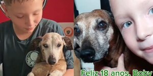 Garoto chora ao celebrar 18 anos de cão salsichinha