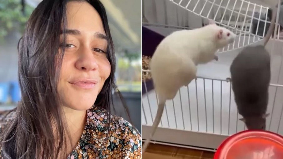 A atriz Alessandra Negrini mostrou um vídeo com seus ratos de estimação em suas redes sociais