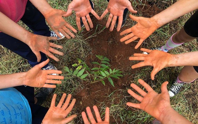 Relatórios de sustentabilidade de escolas ganham relevância