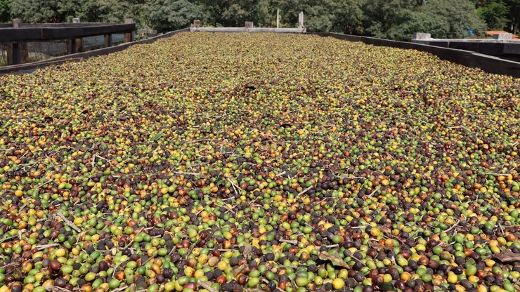 Cinco roteiros turísticos serão lançados em Vinhedo