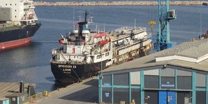 Vídeo: navio com 3 mil vacas está à deriva há 59 dias