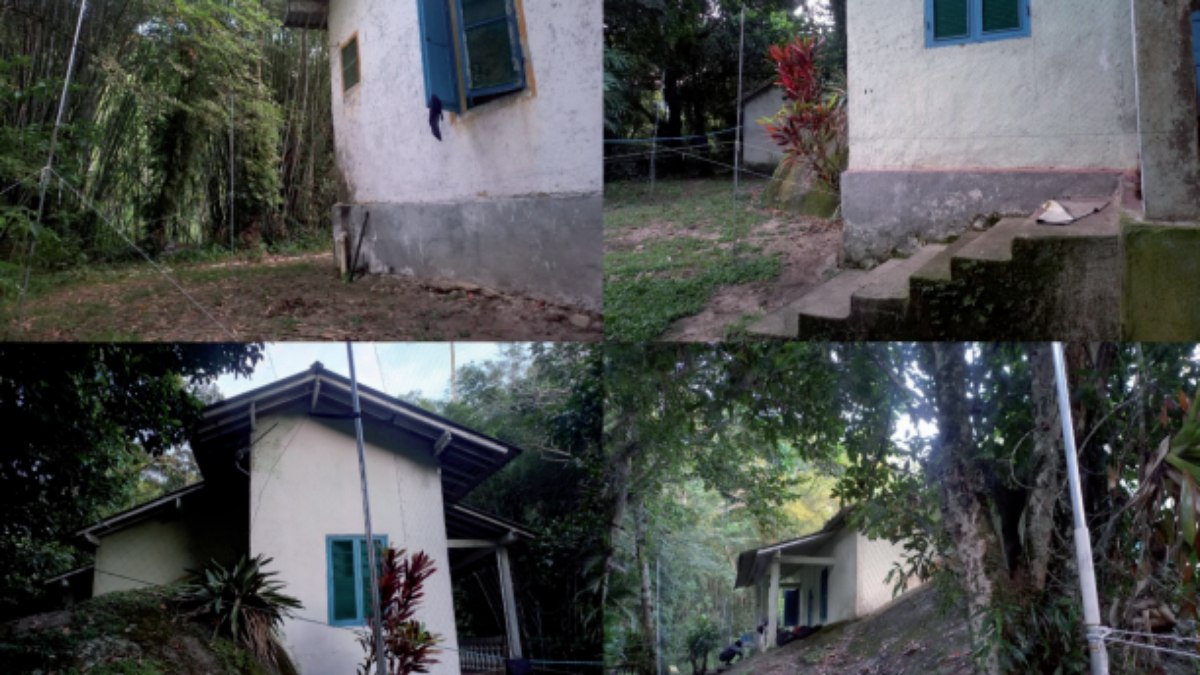 Redes instaladas na casa onde aconteceram os ataques para capturar os morcegos Redes instaladas na casa onde aconteceram os ataques para capturar os morcegos