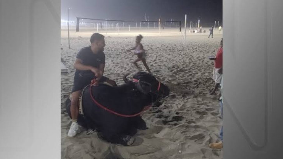 Bill, vindo de Minas Gerais, passeou pela praia de Copacana, no Rio