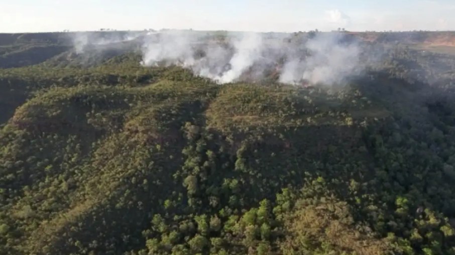 Incêndio atinge divisa do Santuário de Elefantes em Mato Grosso