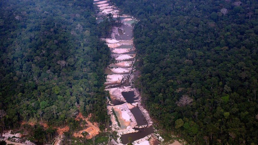 Pará e Amazonas lideram lista de onde houve mais desmatamento em 2021