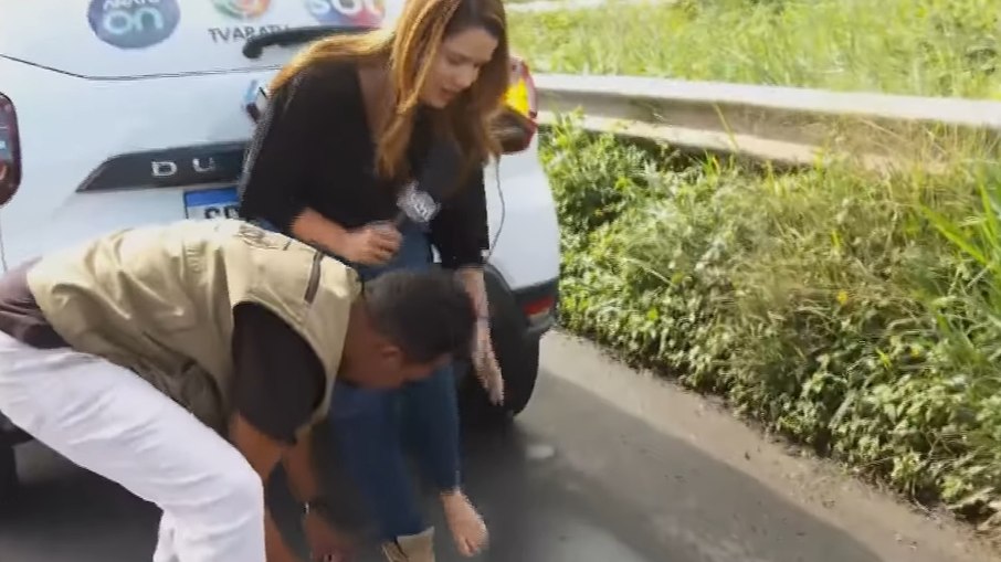 Repórter do SBT é atacada por formigas ao vivo