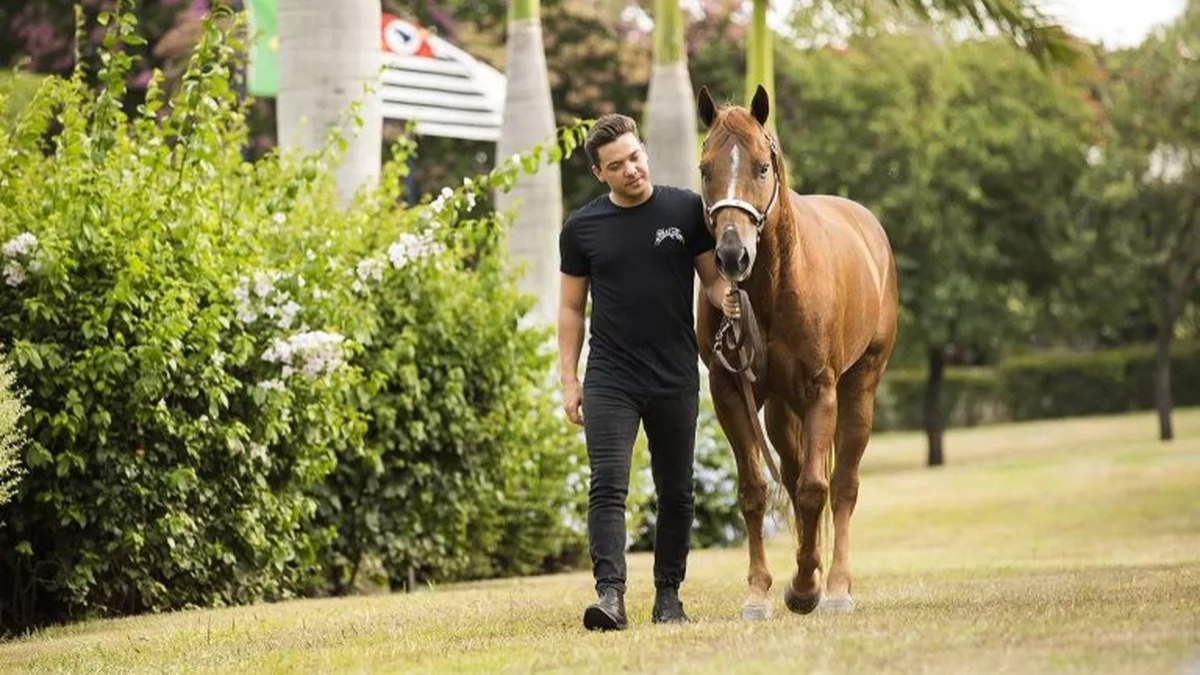 Tirullipa se surpreende com valor de cavalo negociado por Wesley Safadão