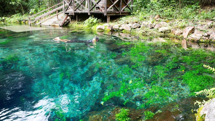 Bonito (MS) une rios transparentes e turismo de natureza