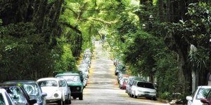 Conheça a “rua mais bonita do mundo” que fica no Sul do Brasil