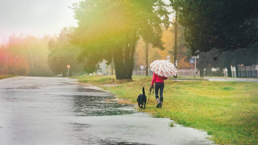 Ver um cachorro caminhando pela rua pode desencadear uma crise em um paciente com cinofobia 