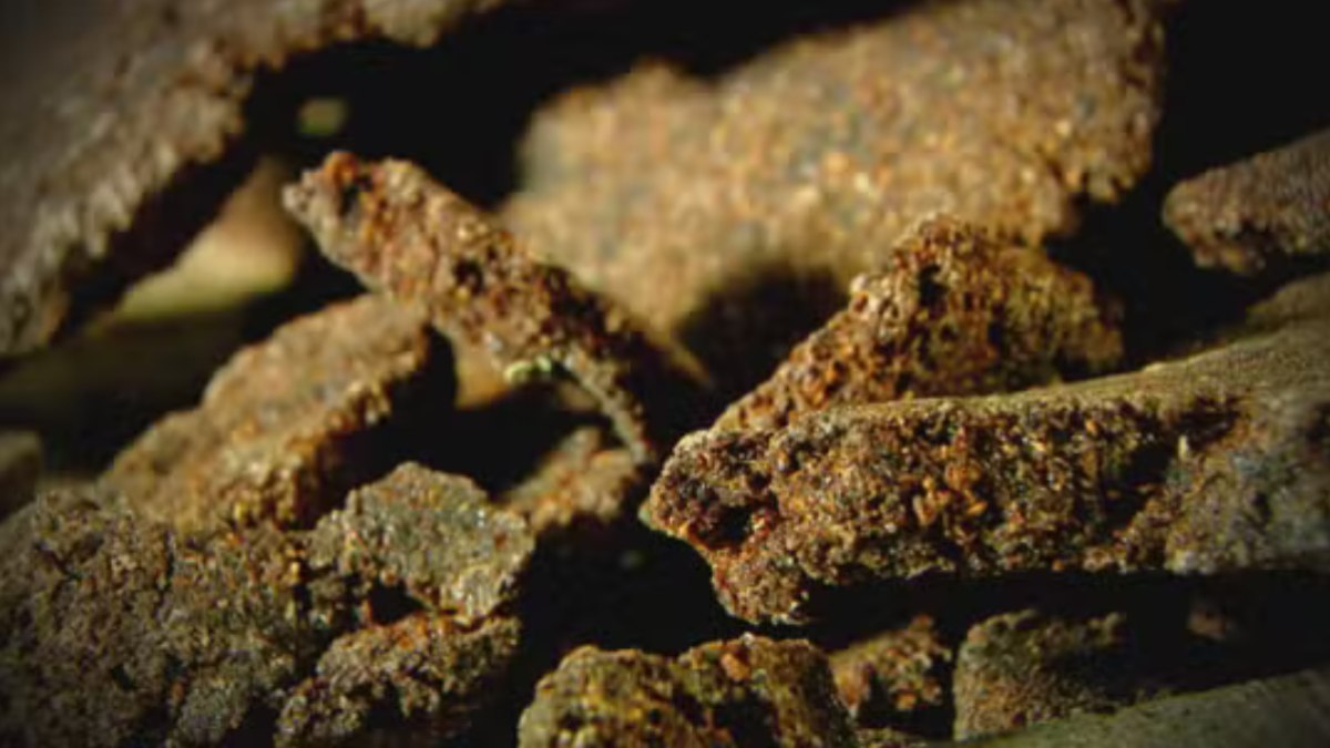 Cocaína Negra Avaliada em Milhões Descoberta em Mansão de Luxo: Veja os Detalhes Chocantes!