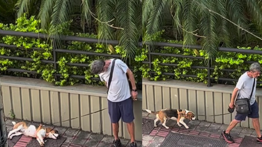 No vídeo que viralizou, tutor é calmo e paciente com seu animal de estimação