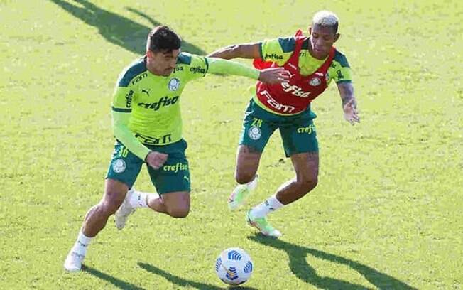 Quase um terço dos gols sofridos pelo Palmeiras no Brasileirão são de fora da área
